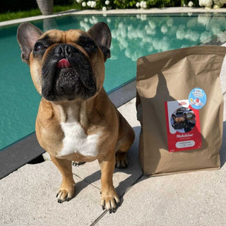 Hondenvoer voor Franse Bulldogs - 3 KG