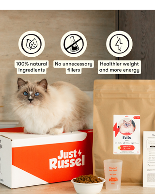 Customized cat food - 3KG