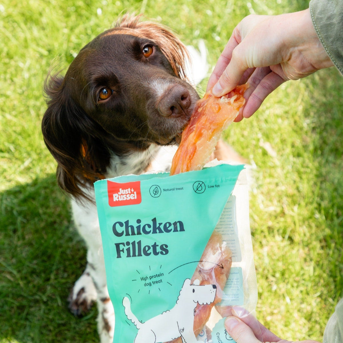 Chicken Fillets