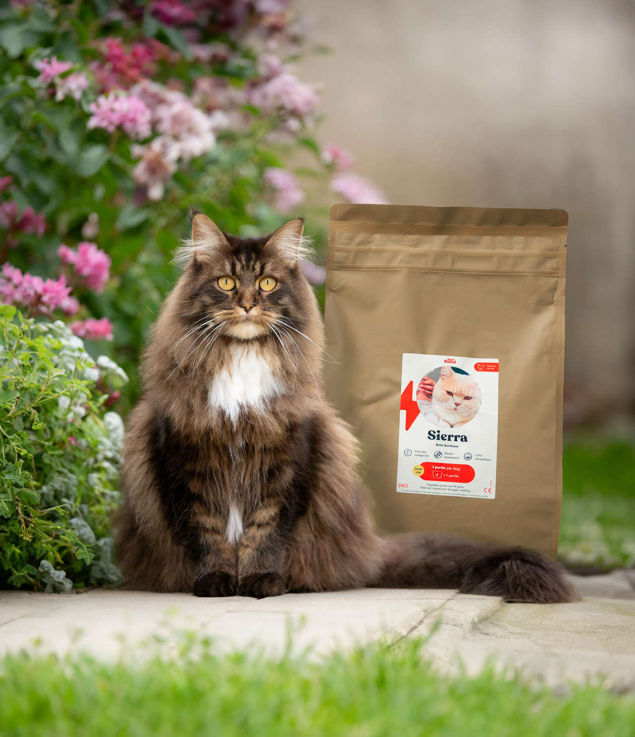 Customized diet cat food - 3KG