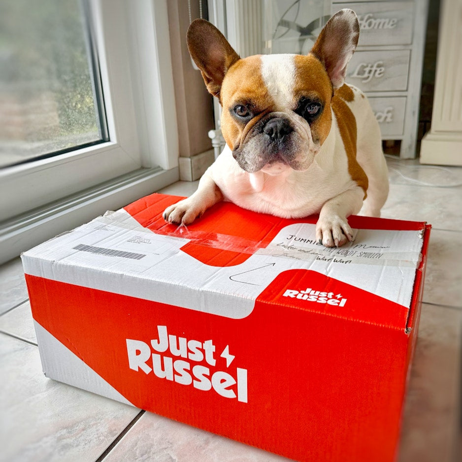 Hondenvoer voor Franse Bulldogs - 3 KG