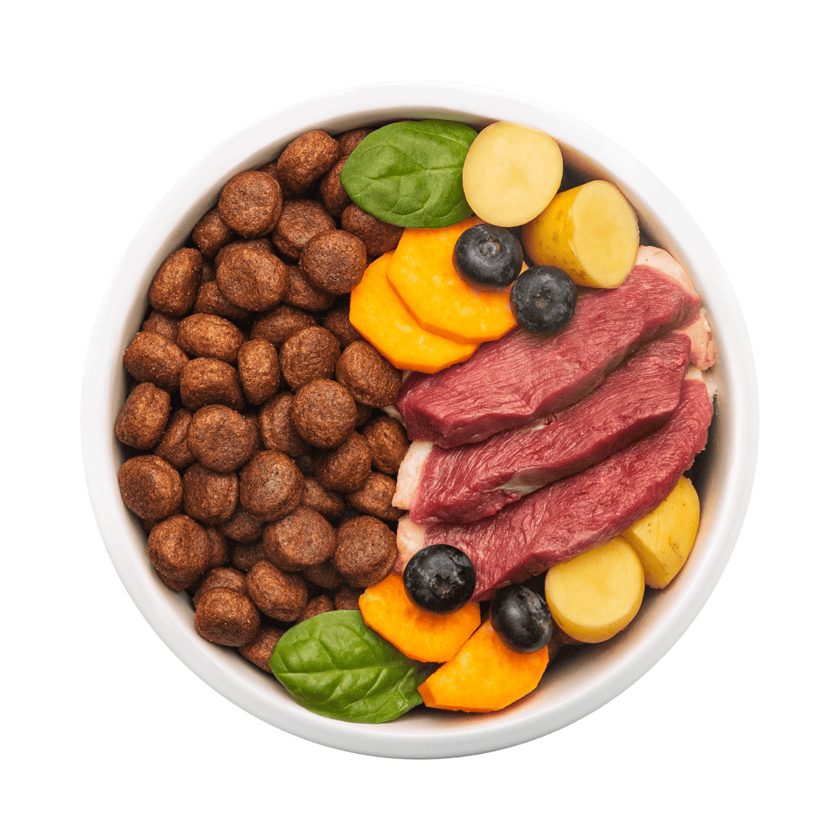Grain-free dog food: Best quality, Vet recommended Just Russel