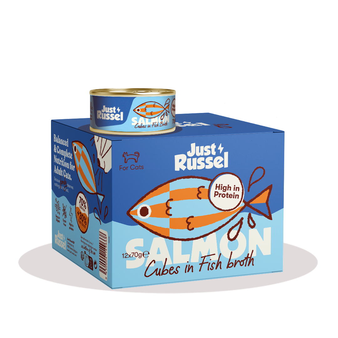 High Protein Wet Food - Salmon