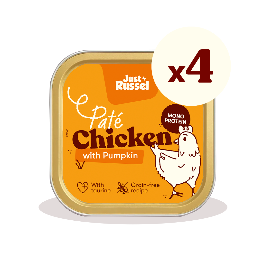 Paté voor katten - Kip en pompoen