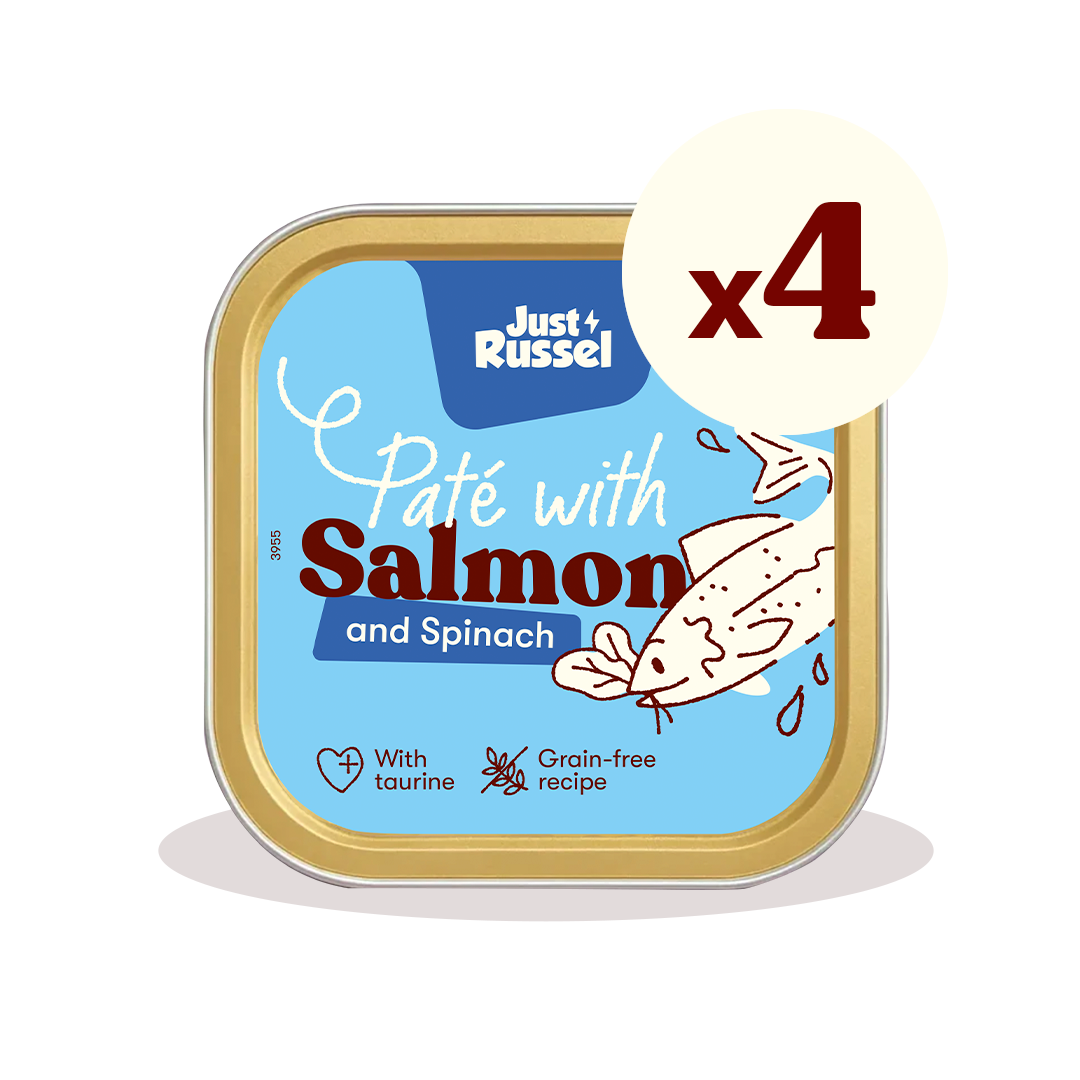 Paté voor katten - Zalm en spinazie