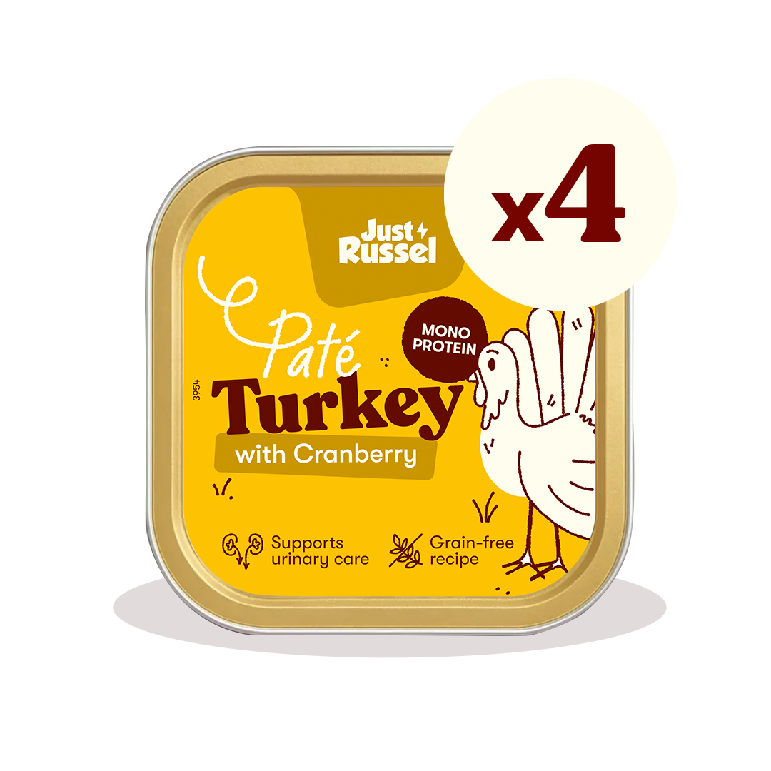 Paté voor katten - Kalkoen en veenbessen