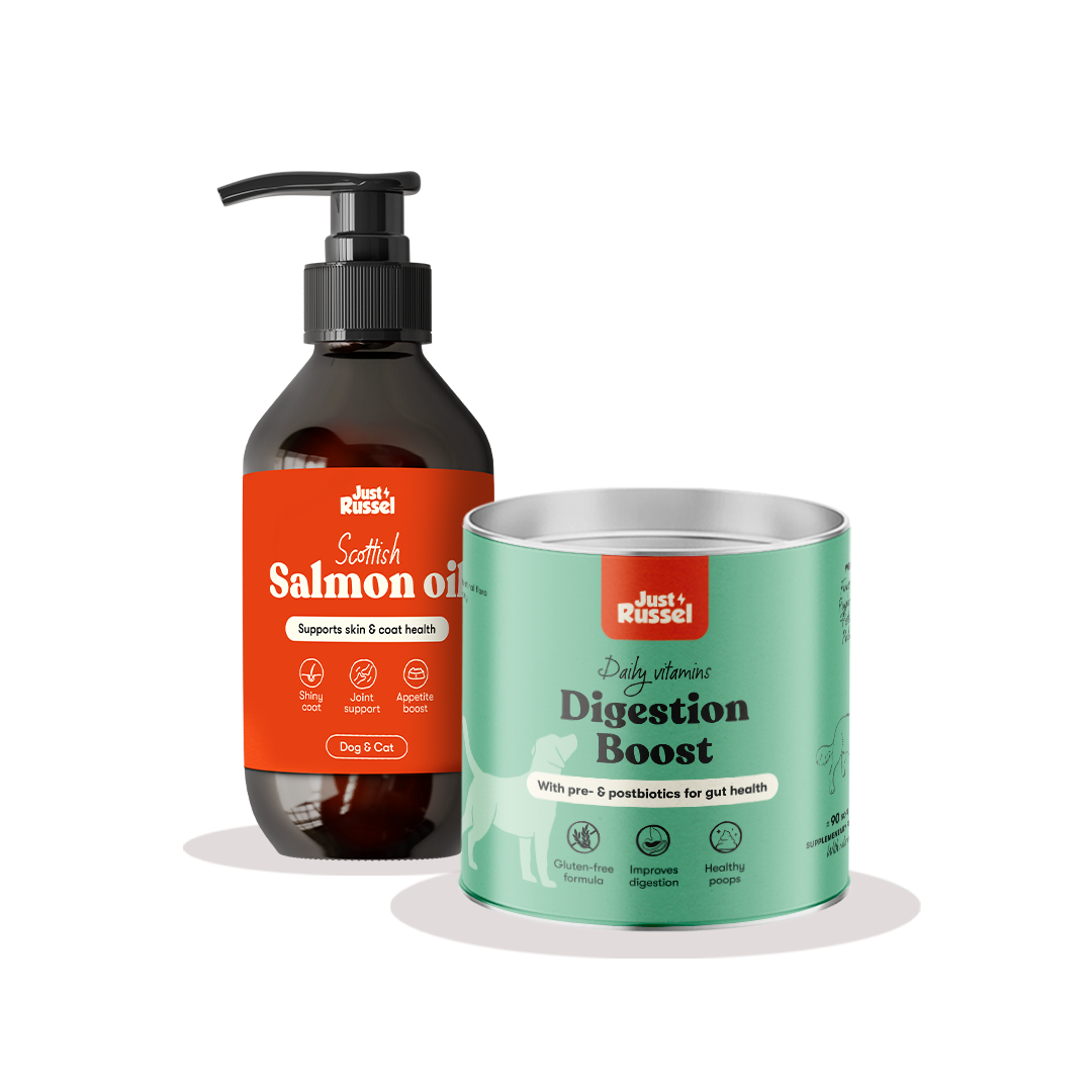 Digestion Boost + Zalmolie