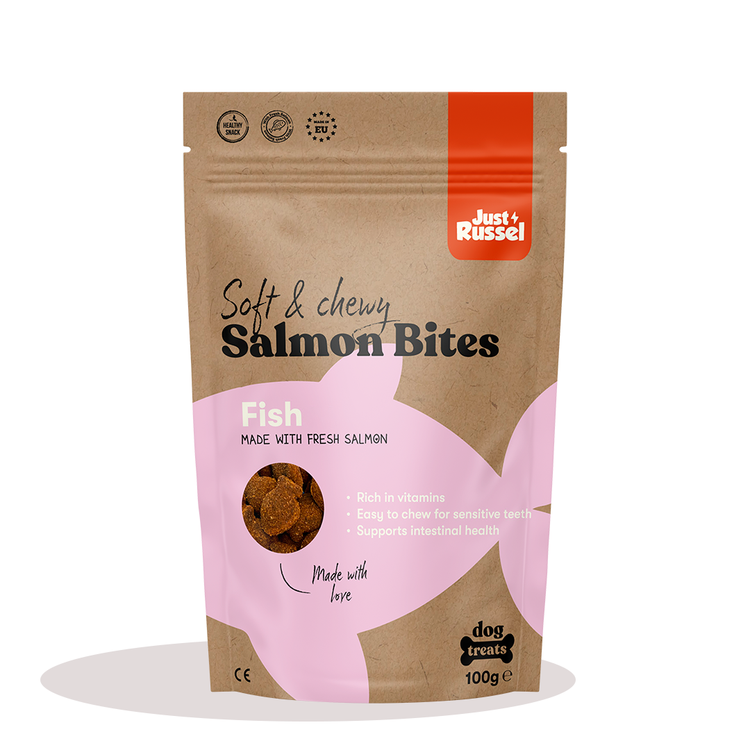 Healthy Dog Treats - With Norwegian salmon